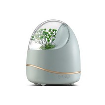 대용량 초음파 가습기 400ML 영원한 꽃 아로마 디퓨저 테라피 공기 LED 램프 홈 향수 에센셜 오일, [01] Eu, [04] Green