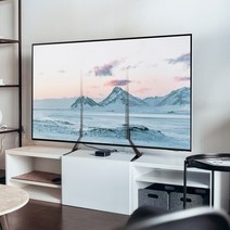 보인 TV 거치대 삼성 LG 모니터 티비 스탠드 R, 2. BLS-11L (40~55인치)