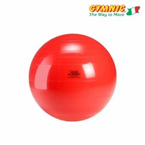 짐닉 클래식 짐볼 55cm 빨강, 단품