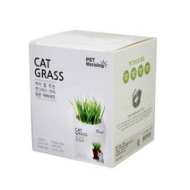 펫모닝 캣글라스 화분재배세트 pmc295, 1