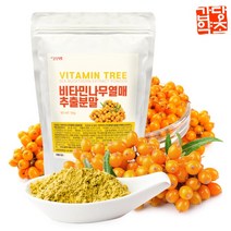 갑당약초 비타민나무열매파우더(분말) 실속형, 1개, 150g
