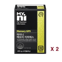 마이니 징코 포스파티딜세린 은행잎추출물 분말 플라보놀배당체 비타민e 기억력 혈행 두뇌 메모리 지피에스 영양제 노인 수험생 청소년, 2박스, 60캡슐