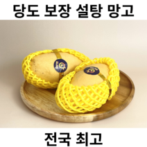 학교납품 당도보장 태국 골드망고 항공직송 설탕망고, 1개, 5kg
