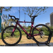 언노운픽시 경륜 입문용 픽시 가벼운 출퇴근용 하이브리드, 와인 레드 18단 풀 내부 배선