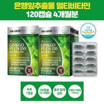 플러스 은행잎추출물 아연 비타민 징코플러스150/600mg x 60캡슐
