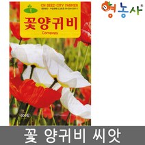 꽃 양귀비씨앗 1000립, 단품