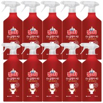 홈스타 뿌리는 곰팡이싹 750ml / 염소계 표백성분 함유, 10개입