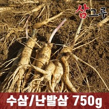 금산인삼 5년근 6년근 수삼 난발삼 원수삼 세척무료 750g 1채, 일반-원삼 소 750g 15-19뿌리