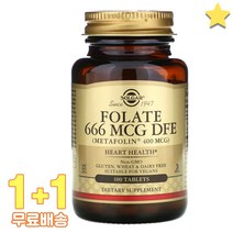 솔가 엽산 666mcg DFE 100정 2통, 1개, 기본