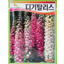 식물의집 디기탈리스 꽃씨앗 씨