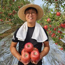 사과꽃필무렵 사과 2022년 부사 흠집사과 못난이 사과 10kg, 01. 못난이사과 소과 3kg 12-15과내외