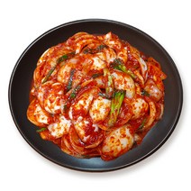 [진담김치] 전라도 양파김치 I 국산 천연재료 진한 감칠맛의 전라도김치, 1개, 2kg