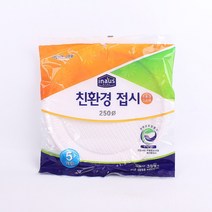 크린랩 친환경접시 250mm 5개입 602ㅣ일회용종이접시 캠핑 파티용 예쁜 홈파티일회용접시 추천 파는곳