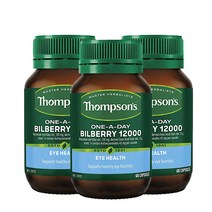 THOMPSONS ONE A DAY BILBERRY 12000 톰슨스 뉴질랜드 원어데이 빌베리 12000mg 60캡슐 3팩