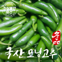 국산 모닝고추 아삭이고추 못난이고추 1kg 5kg, 아삭 모닝고추(특품) 1kg, 1개