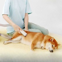 반려동물 털 진공 흡입기 빗질 트리머 미용 바리깡, 그레이