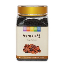 동의한약나라 차가버섯환 200g, 1