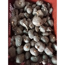 [종자용] [최상품] 무농약 열매마 1kg, 1kg 종자용