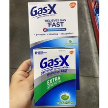 가스엑스 gas - x 가스제거제 120개, 120정, 125mg