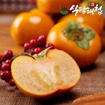 식탐대첩 국내산 부유 줄단감 특급 5kg (30-33과), 단품