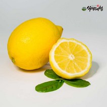 식탐대첩 팬시레몬 10개(개당100g내외), 없음