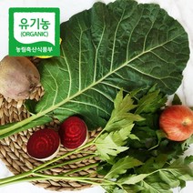 친환경 유기농 케일 즙용 케일 당일수확 산지직송, 유기농 케일 2kg