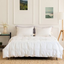 [소프라움] 사르르 유러피안80 60수 구스다운 간절기 이불솜 싱글, 화이트/싱글(MDS23SS06D12WHS)