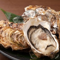 섬진강 벚굴 벗굴, 벚굴 5kg, 1개