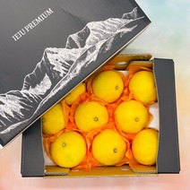 산지직송 프리미엄 제주 황금향 선물세트, 1box, 2.5kg 중과(10-16과) 선물용