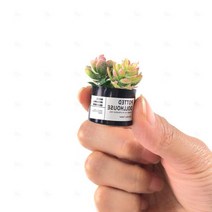 인조선인장 조화 다육이 미니 선인장 장식 모형 레드, 1개