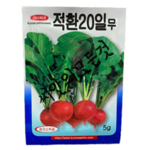 적환20일무씨앗5g 방울무종자 20일무우 씨앗 샐러드용으로 으뜸 경신종묘