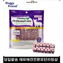 애견영양제 유산균덴탈스틱 노령견영양제 새끼고양이영양제 펫유산균, 1개, 1개 1개