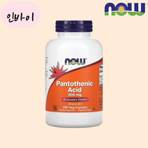 나우푸드 판토텐산 500mg 250캡슐 칼슘, 2개, 250정, 250개
