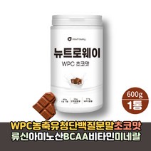 NTW WPC 농축유청 단백질 분말 류신 근육 헬스 보충제 쉐이크 1.2kg 딸기맛 초코맛 아미노산 프로틴 가루, 600g초코맛, 600g, 1개