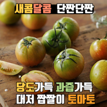 계절식탁 당도가득 과즙가득 부산 대저 짭짤이 토마토 2.5kg, 대저토마토, A급, M