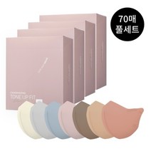 참존 [참존] 블랙라벨 라이트 마스크 70매 풀세트, 그레이:대형 70매