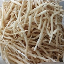 생삼채 삼채뿌리나물 1kg 세척 수입산 삼채 무침용 삼채뿌리, 1개