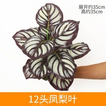 인테리어 익스테리어 카페 인조 식물 데코레이션 잔디 벽 발코니 플라워 카페 꽃 전시회, 짙은녹색파인애플잎12개가지1개