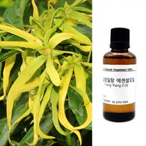 향기에반하다 일랑일랑 E.O 천연 아로마 에센셜 오일 30ml 50ml 100ml피부 유수분 두피 모발 친환경 디퓨저 방향제 캔들 향료 화장품 비누만들기, 일랑일랑 천연 아로마 에센셜 오일 50ml