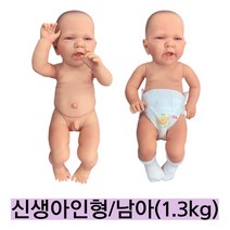 독일산/신생아모형 남아 BA77/약1.3kg 신장 약50cm 신생아모형 아기모형
