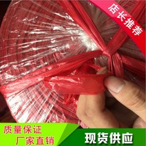 가방 유리 투명 플라스틱줄 홍타 줄묶는 찢어진 줄묶음 노끈, T12-빨간색 2CM60kg 8롤
