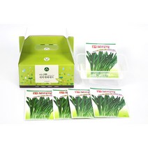 아시아종묘 보리싹 꼬마재배용기세트 (1kg)