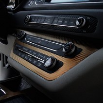 기아 올뉴카니발 카본 스티커 기어 오디오 도어커버, D TYPE (기어 오디오 패널), 04. 카멜레온와인카본