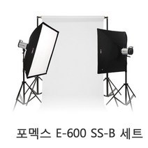 포멕스 E600 SS-B 세트 촬영조명 및 배경 결합 의류촬영 제품촬영 스튜디오, 1개, E600 조명+풀사이즈(272cm)매직폴배경세트