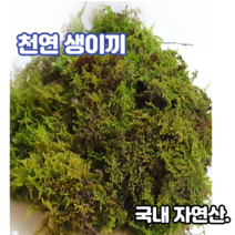 천연생이끼400g 털깃털이끼 고급화분장식 테라리움 풍란 석 목부작 분재 분경마감 원예 정원조경 수삼장식