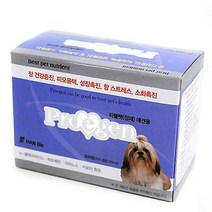 노령견 유산균 장건강 애견 영양제 중형견 웰시코기 푸들 비숑 활력 응가 똥냄새 묽은변 시츄