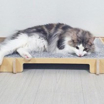 국산 강아지대리석 쿨 매트 애견 고양이 천연 대리석 매트, 대리석 쿨매트+원목 프레임 세트