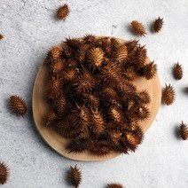 국내산 도꼬마리 300g 도코마리 도꼬마리차 독고마리 도꼬마리 열매 창이자