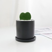 보거스플라워 산세베리아 스투키 사각 원형 미니화분, 1개, 하트호야(소형)+원형블랙