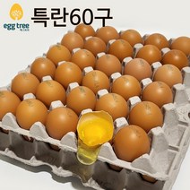 [오늘낳은 달걀] HACCP농가 에그트리 생계란, 1개, 특란, 60구